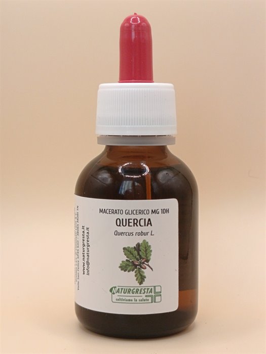 QUERCIA MG 1DH - immagine 2