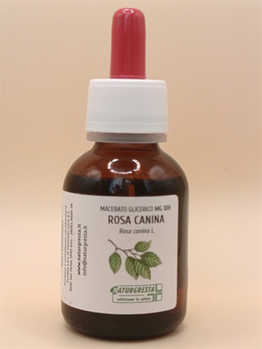 ROSA CANINA MG 1DH - immagine 2