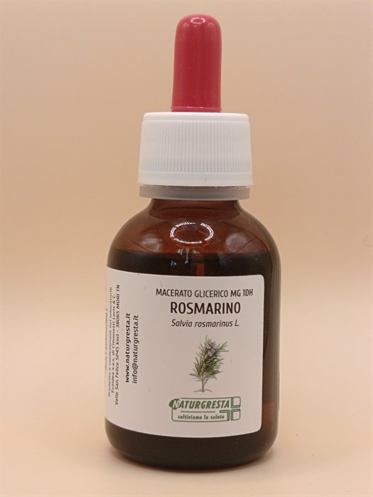 ROSMARINO MG 1DH - immagine 2