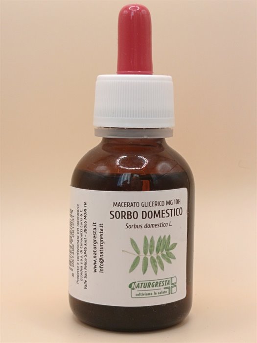 SORBO MG 1DH - immagine 2