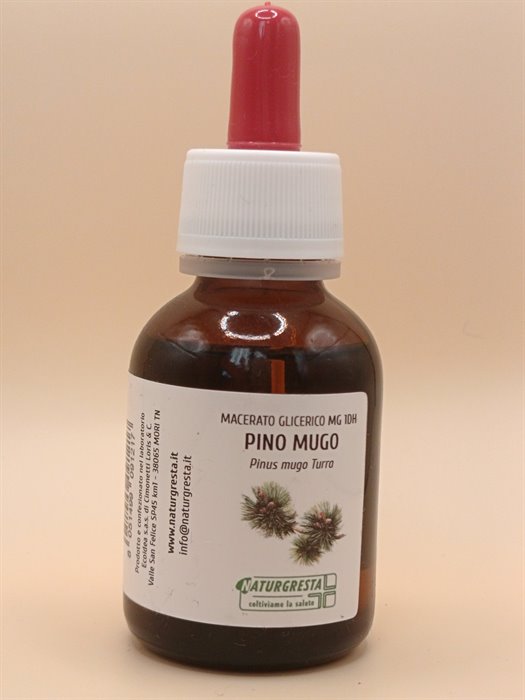 PINO MUGO MG 1DH - immagine 2