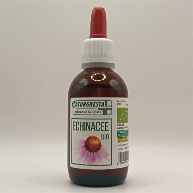 ECHINACEE