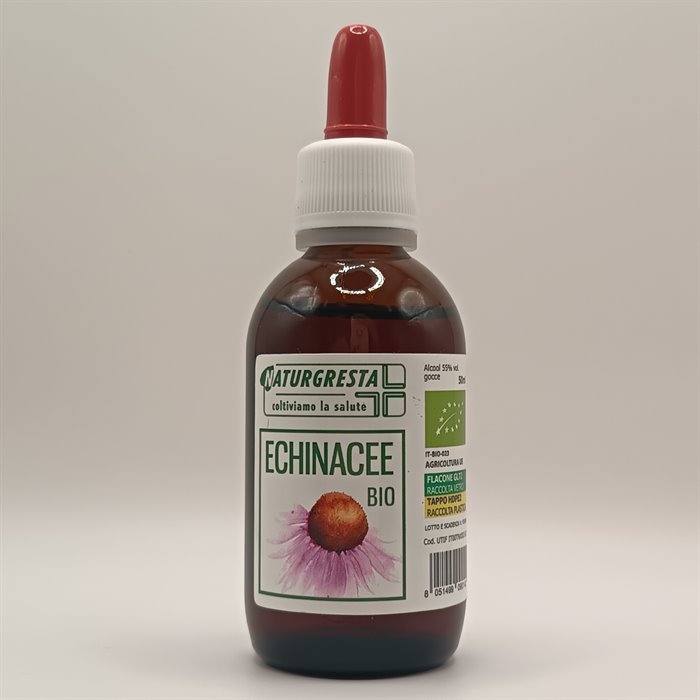 ECHINACEE
