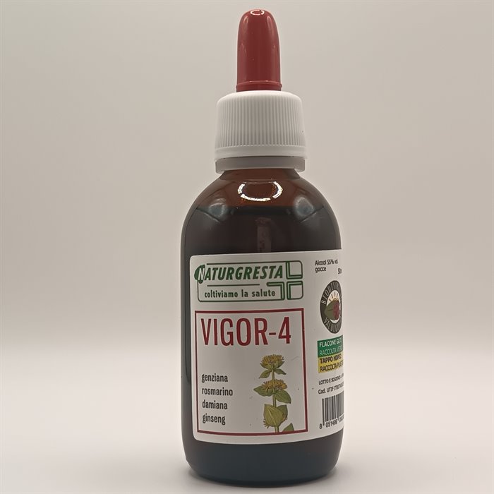 VIGOR-4 - immagine 3