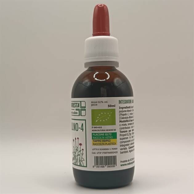 INFLU.NO-4