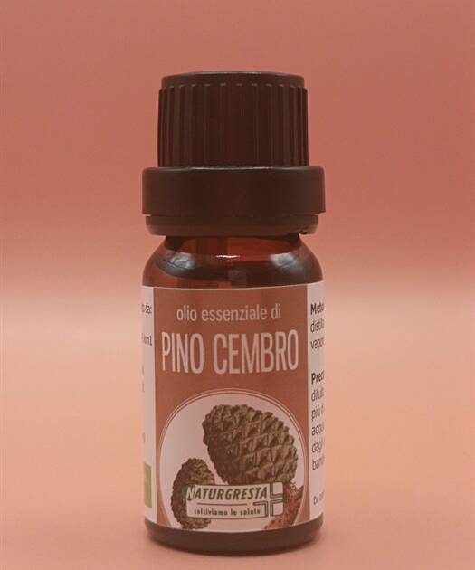 PINO CEMBRO OE