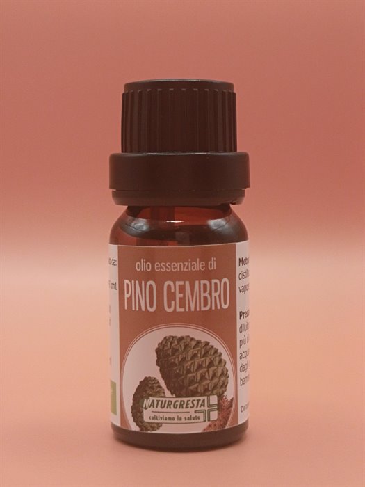 PINO CEMBRO OE